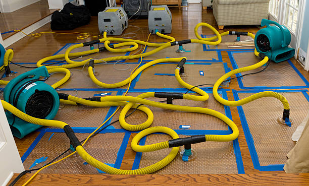Professional Water Extraction technician working in Martin, SD